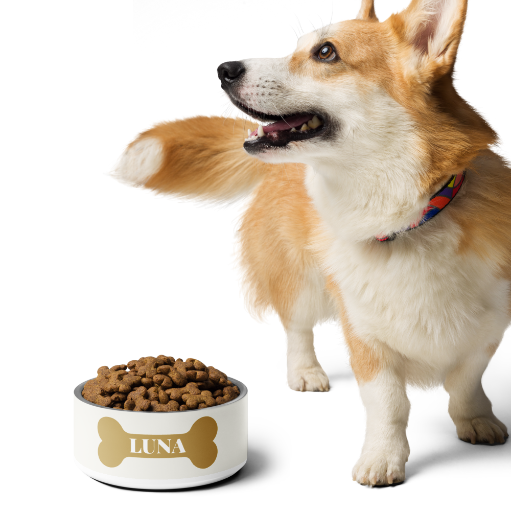 Corgi walking past an off-white gold bone personalized dog bowl with kibble
