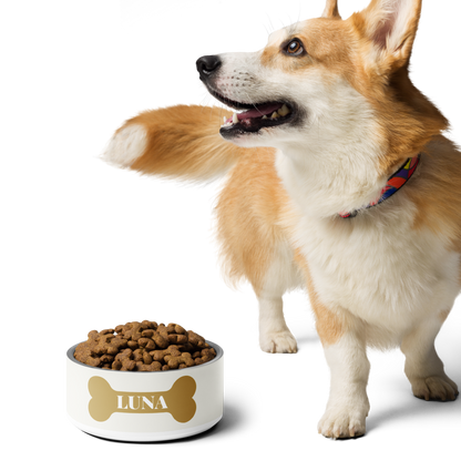 Corgi walking past an off-white gold bone personalized dog bowl with kibble