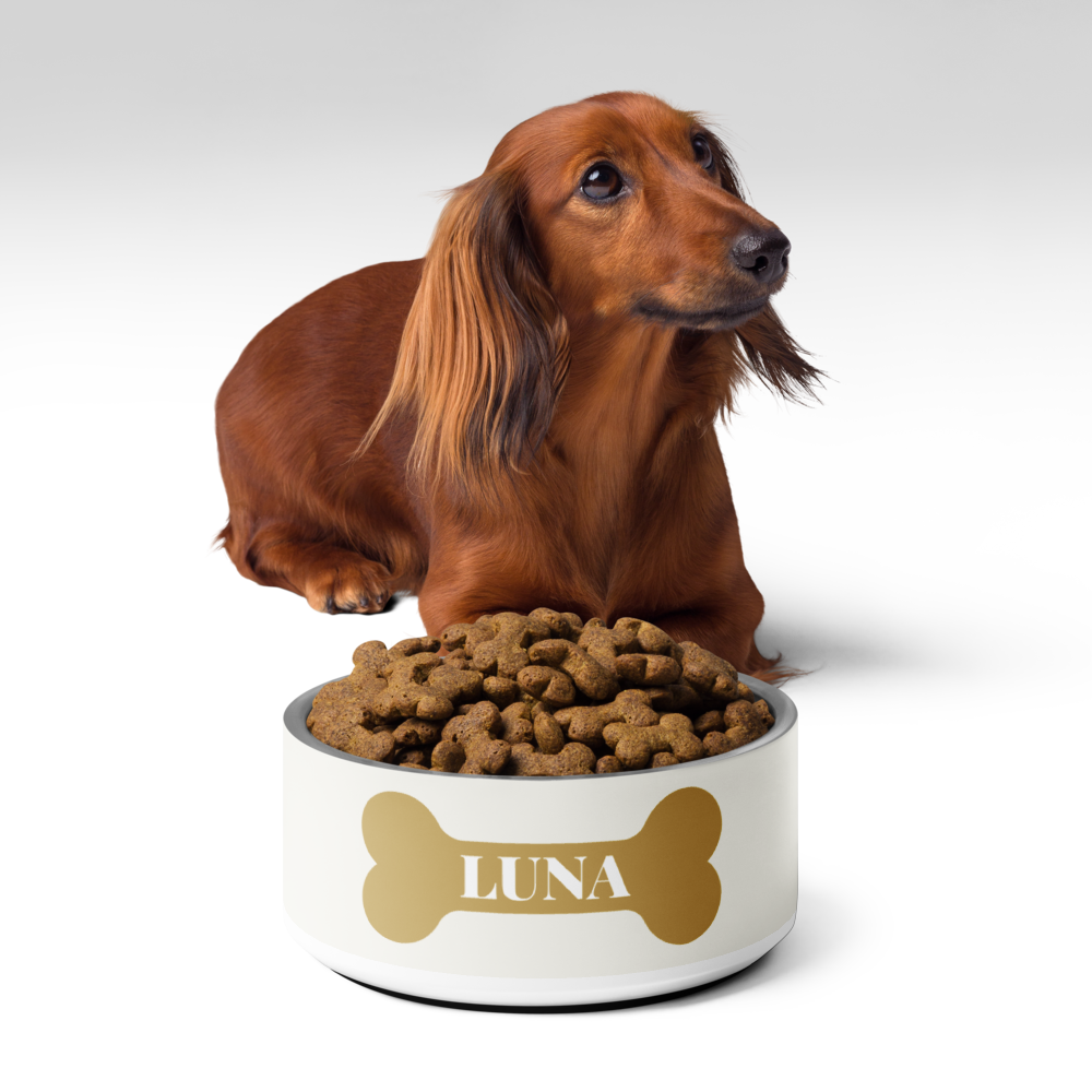 Long-haired dachshund lying behind an off-white gold bone personalized dog bowl filled with kibble