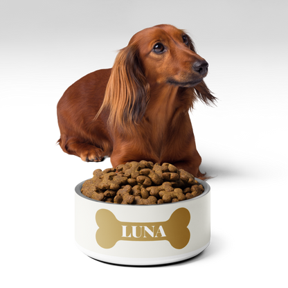 Long-haired dachshund lying behind an off-white gold bone personalized dog bowl filled with kibble