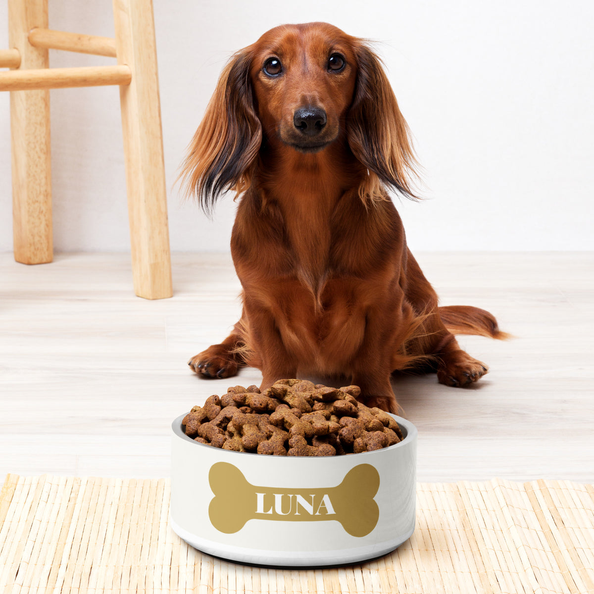 Long-haired dachshund sitting behind an off-white gold bone personalized dog bowl with kibble
