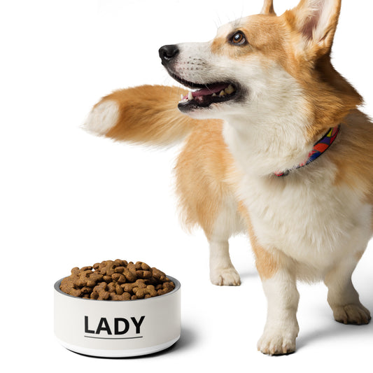 Corgi standing next to an off-white modern personalized stainless steel dog bowl filled with kibble
