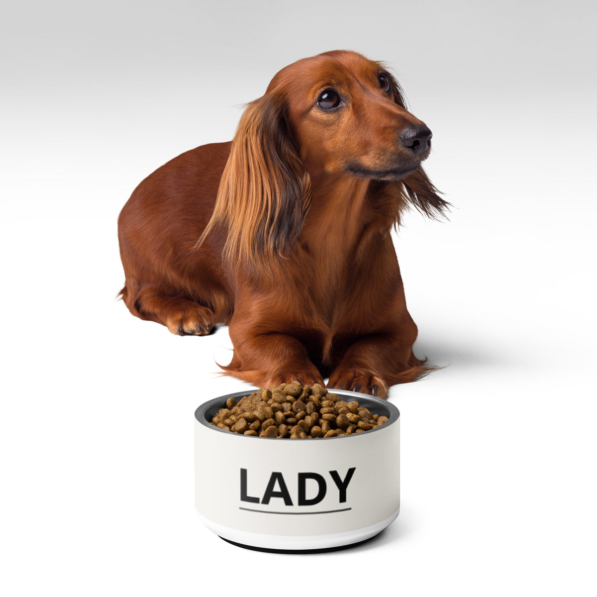 Dachshund lying behind an off-white modern personalized dog bowl filled with kibble