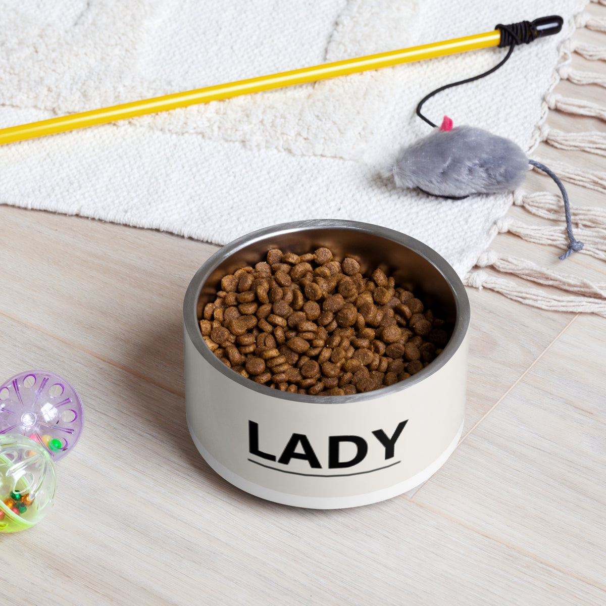 Off-white modern personalized dog bowl filled with kibble on a rug next to a pet toy