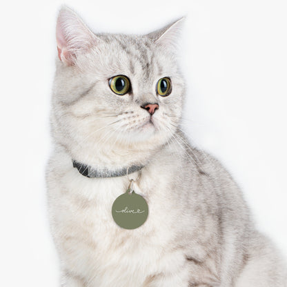 Silver tabby cat wearing an olive green personalized pet tag