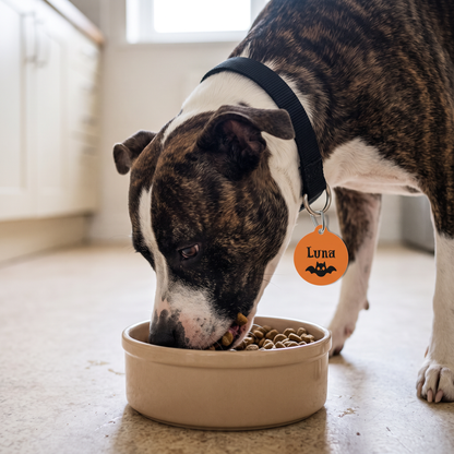 Brindle dog eating from a bowl while wearing an orange bat personalized dog tag