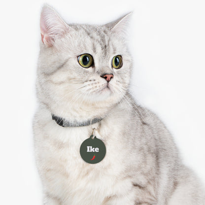 Silver tabby cat wearing a dark green personalized pet ID tag