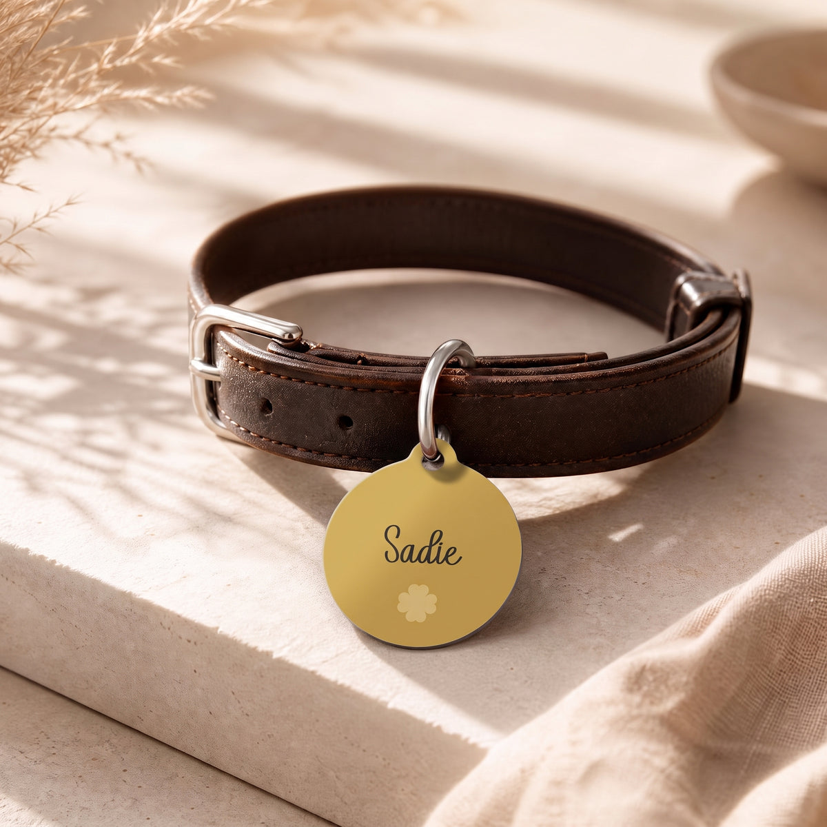 Golden pet ID tag hanging from a dark brown leather dog collar