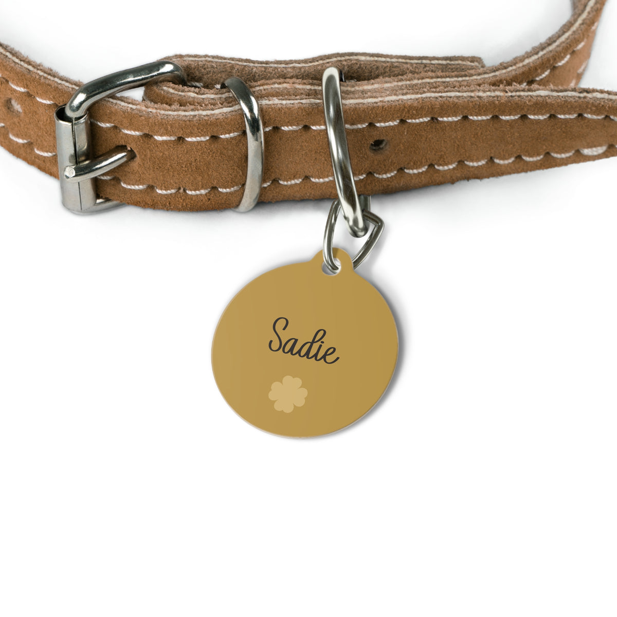 Golden clover name tag attached to a tan leather dog collar