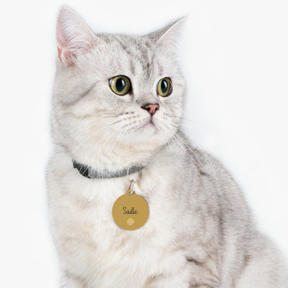 Silver tabby cat wearing a golden personalized pet ID tag
