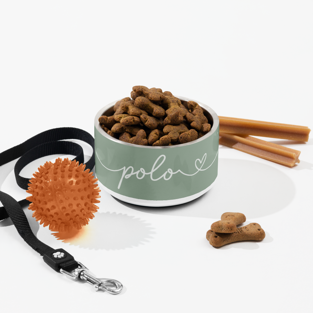 Personalized thyme green dog bowl filled with kibble, styled with a leash and cinnamon sticks - flat lay, alternate angle