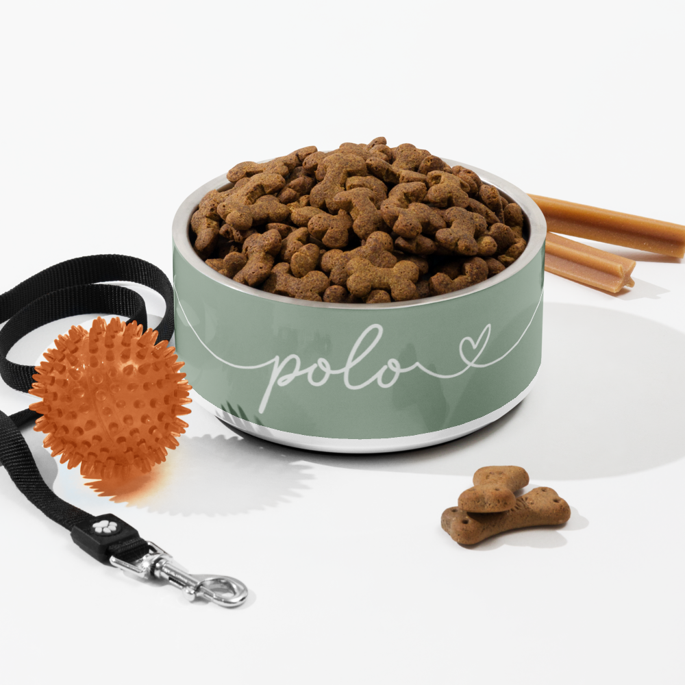 Personalized thyme green dog bowl filled with kibble, styled with a leash and cinnamon sticks - flat lay