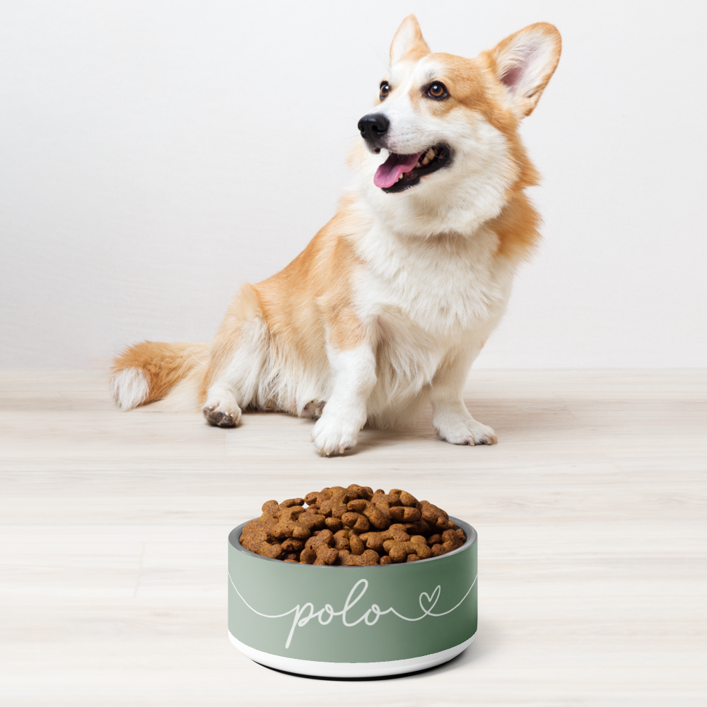 Corgi puppy sitting beside a personalized thyme green dog bowl filled with kibble - lifestyle shot