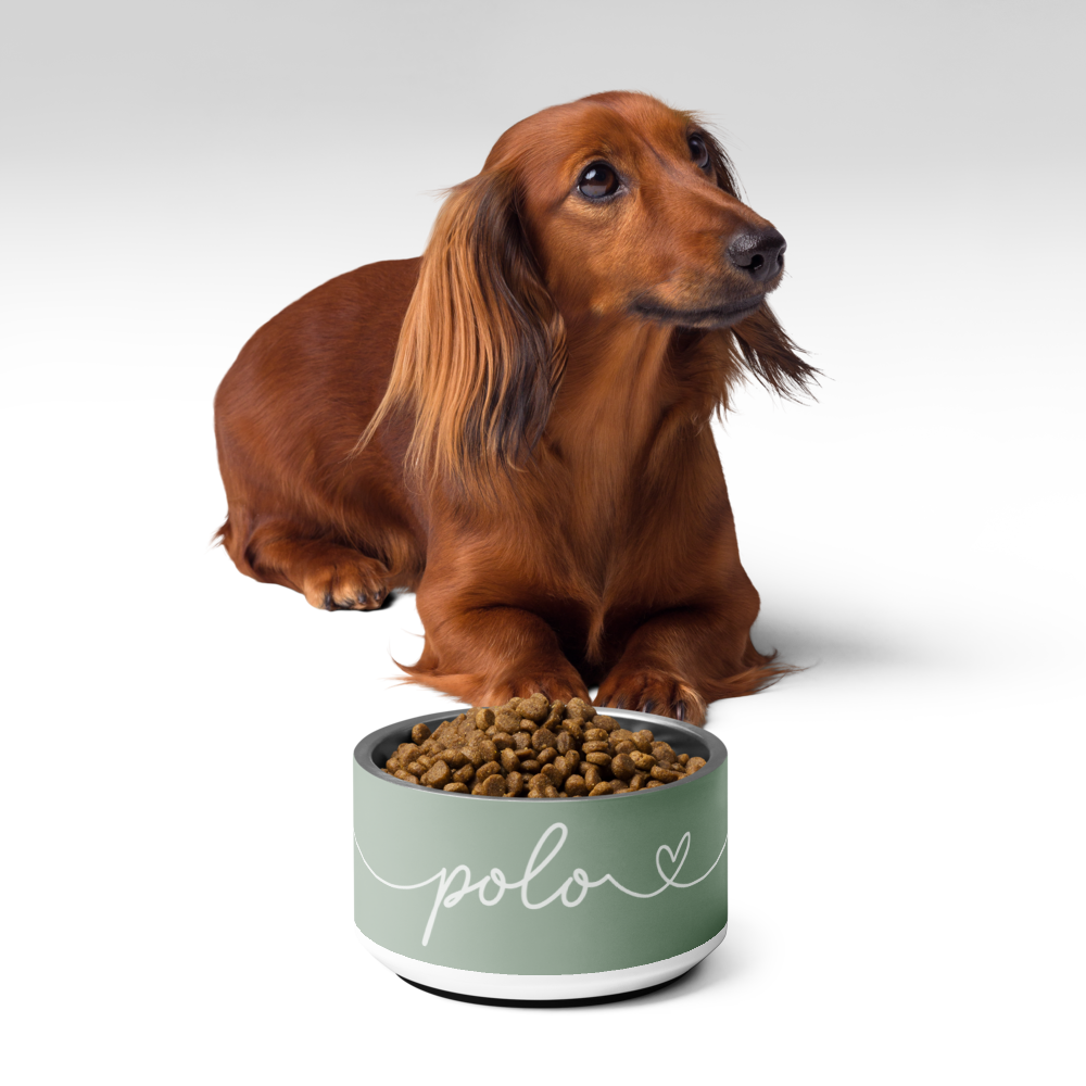 Long-haired dog sitting beside a personalized thyme green dog bowl filled with kibble - lifestyle shot