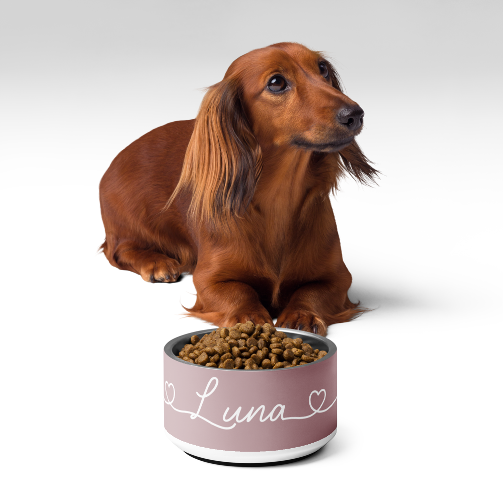 Personalized pink dog bowl in home setting with plant - lifestyle