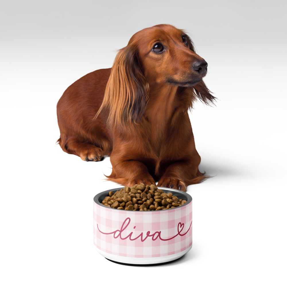 Dachshund next to personalized pink checkered dog bowl with kibble