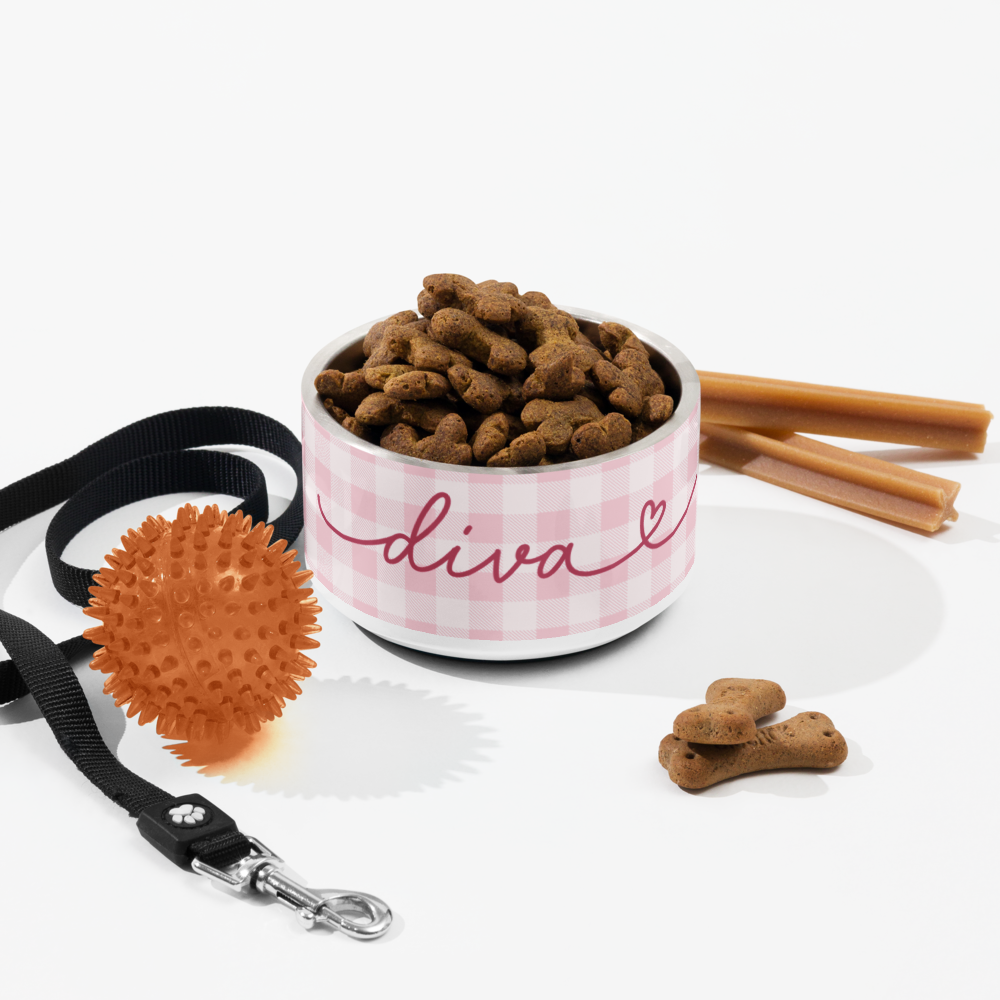 Personalized pink checkered dog bowl with kibble and cinnamon sticks