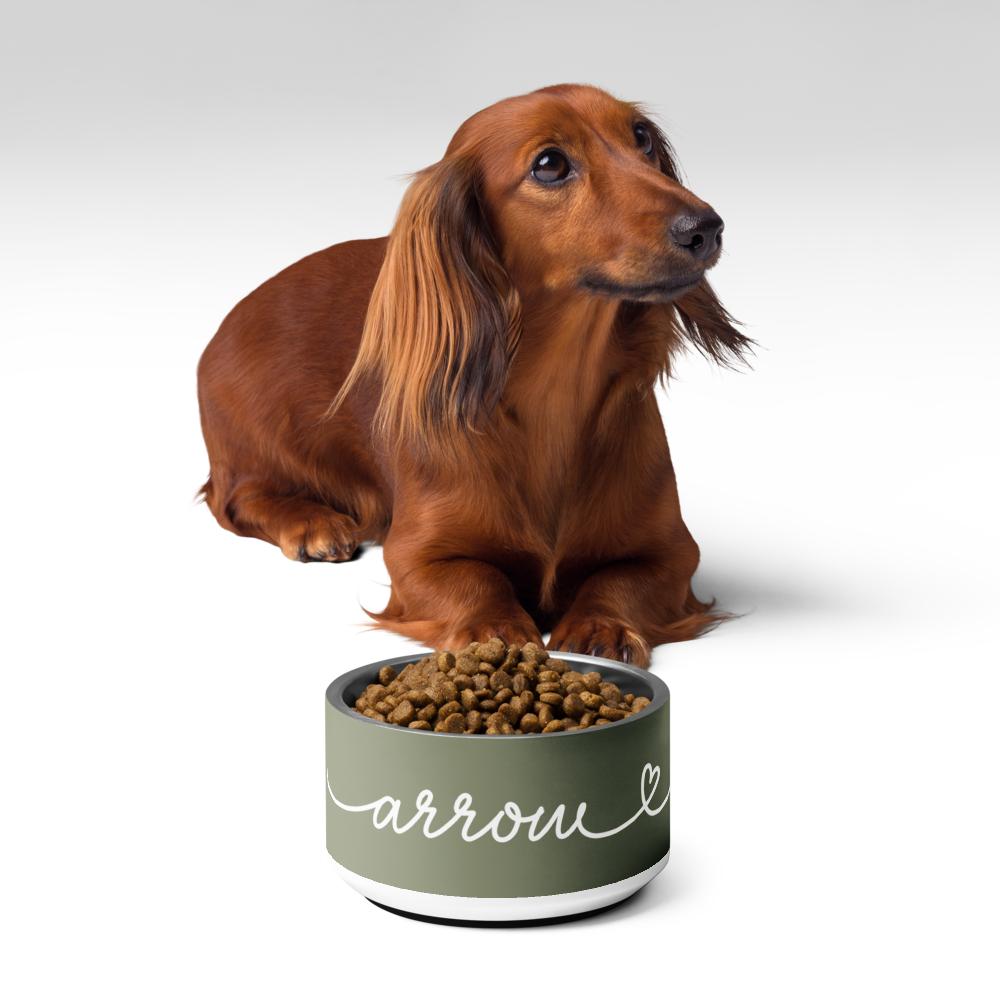 Dachshund next to personalized olive green dog bowl with kibble