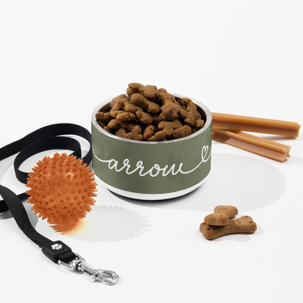 Personalized olive green dog bowl with kibble and dog toys - lifestyle