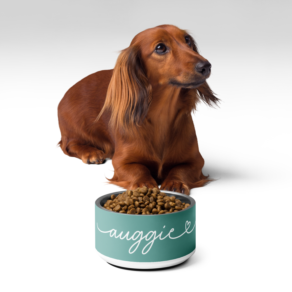 Dachshund next to personalized jade green dog bowl with kibble