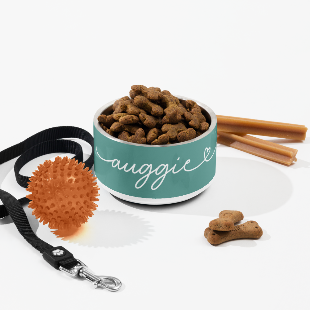 Personalized jade green dog bowl 18oz - front mockup on beige background