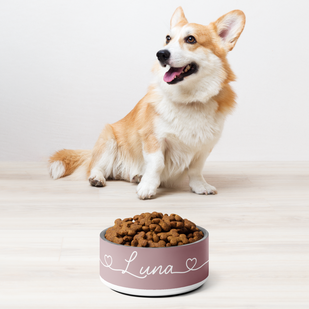 Dachshund next to personalized pink dog bowl with kibble