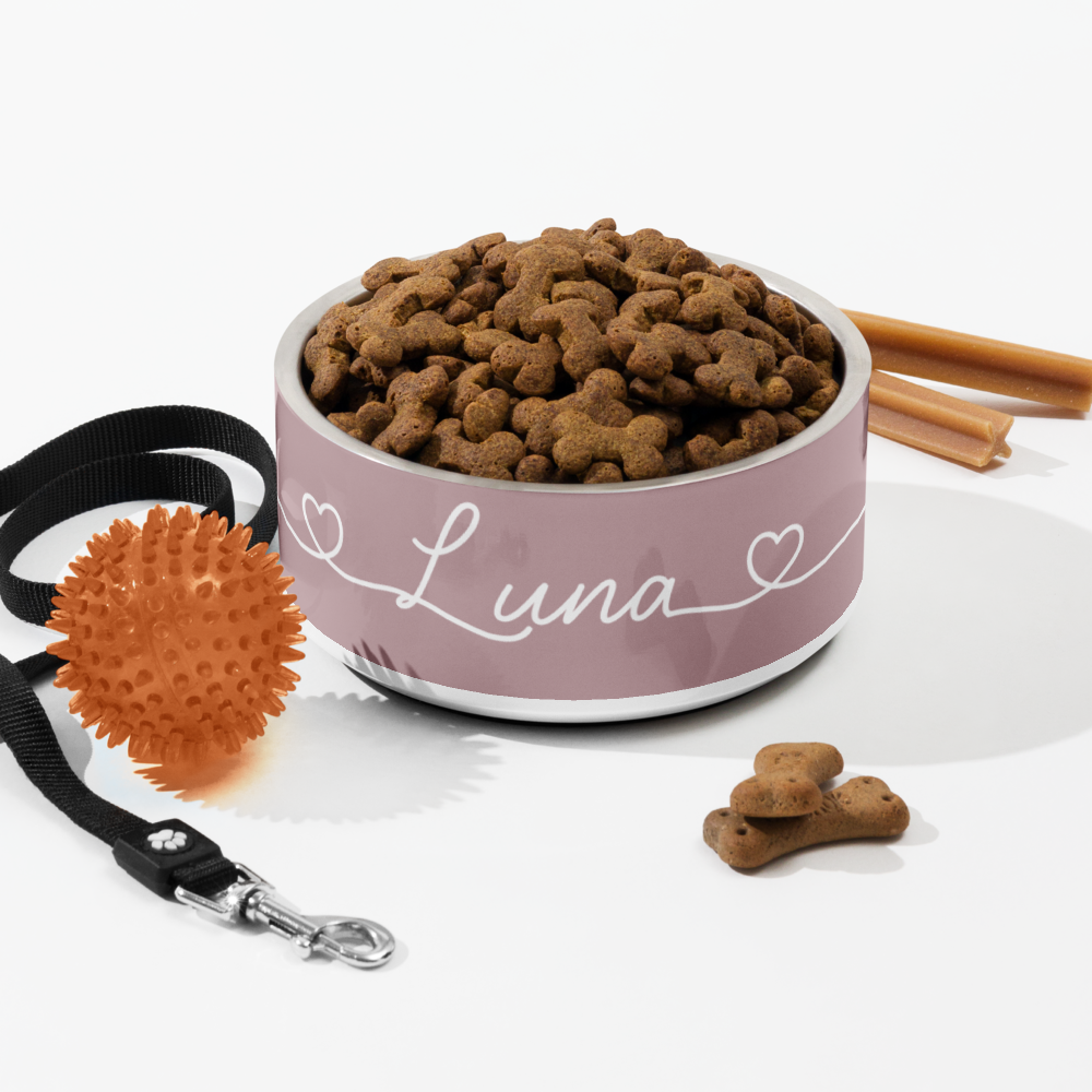 Personalized pink dog bowl with kibble and cinnamon sticks