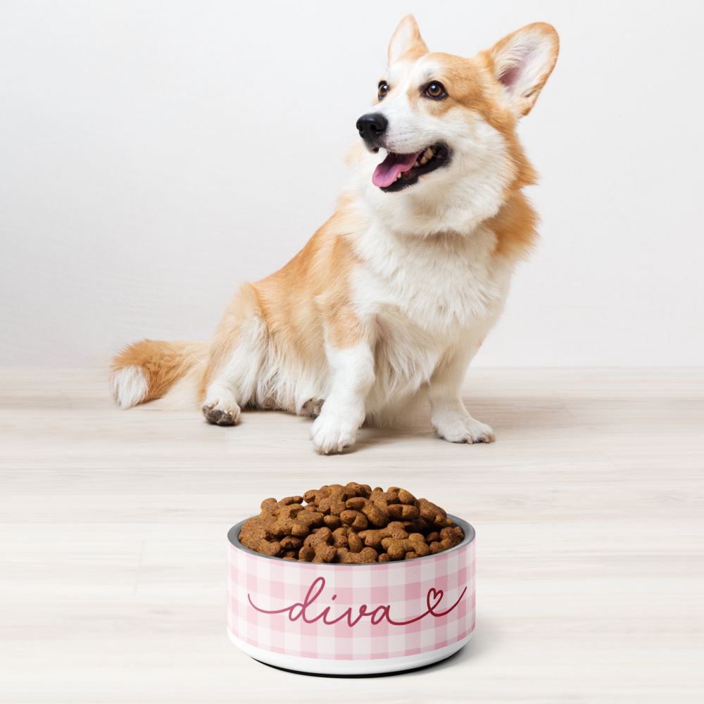 Corgi sitting next to personalized pink checkered dog bowl with kibble