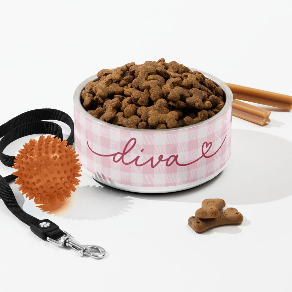 Personalized pink checkered dog bowl with kibble and dog toys - lifestyle