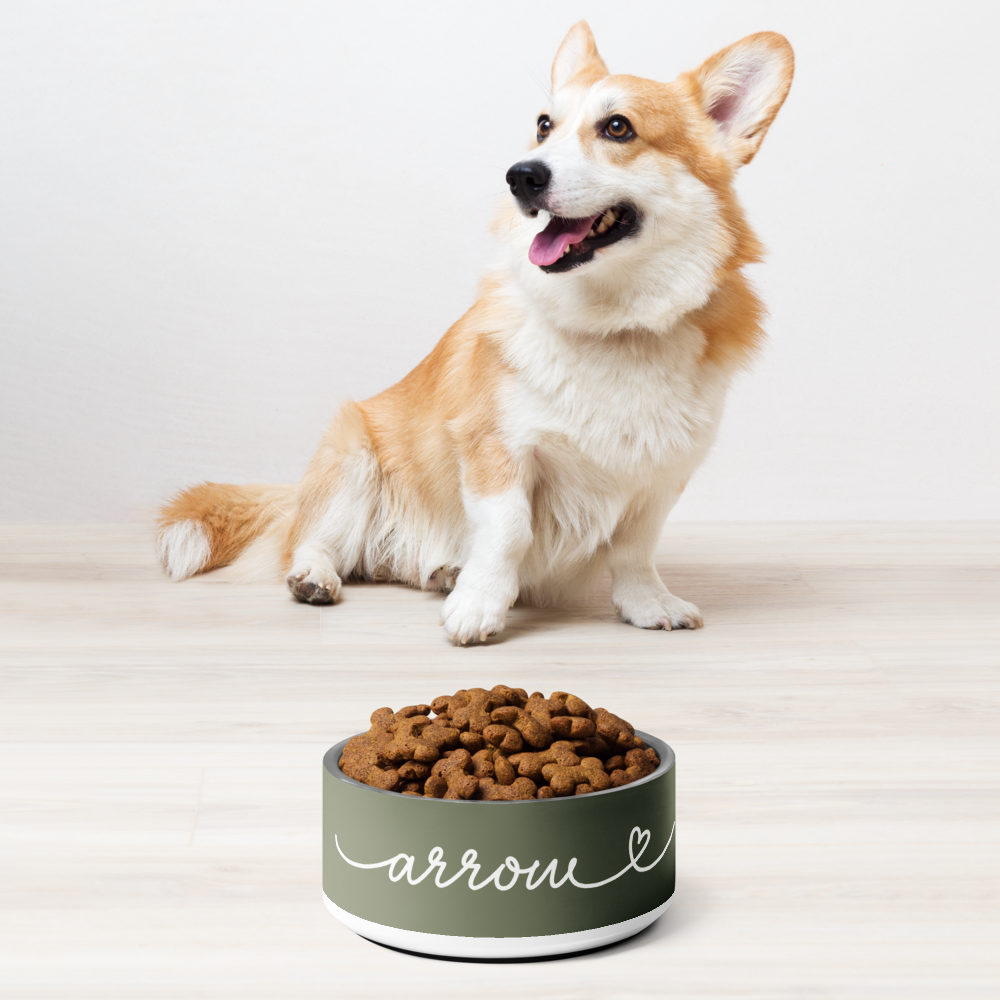 Corgi sitting next to personalized olive green dog bowl with kibble