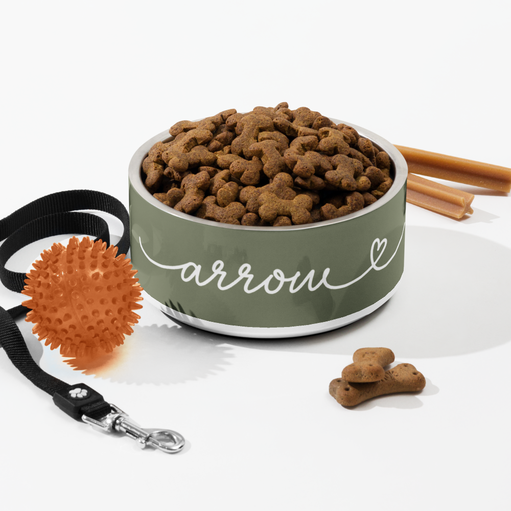 Personalized olive green dog bowl with kibble and cinnamon sticks