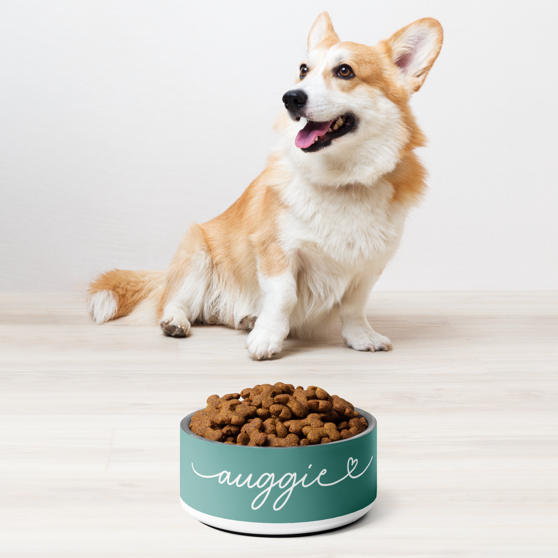 Corgi sitting next to personalized jade green dog bowl with kibble