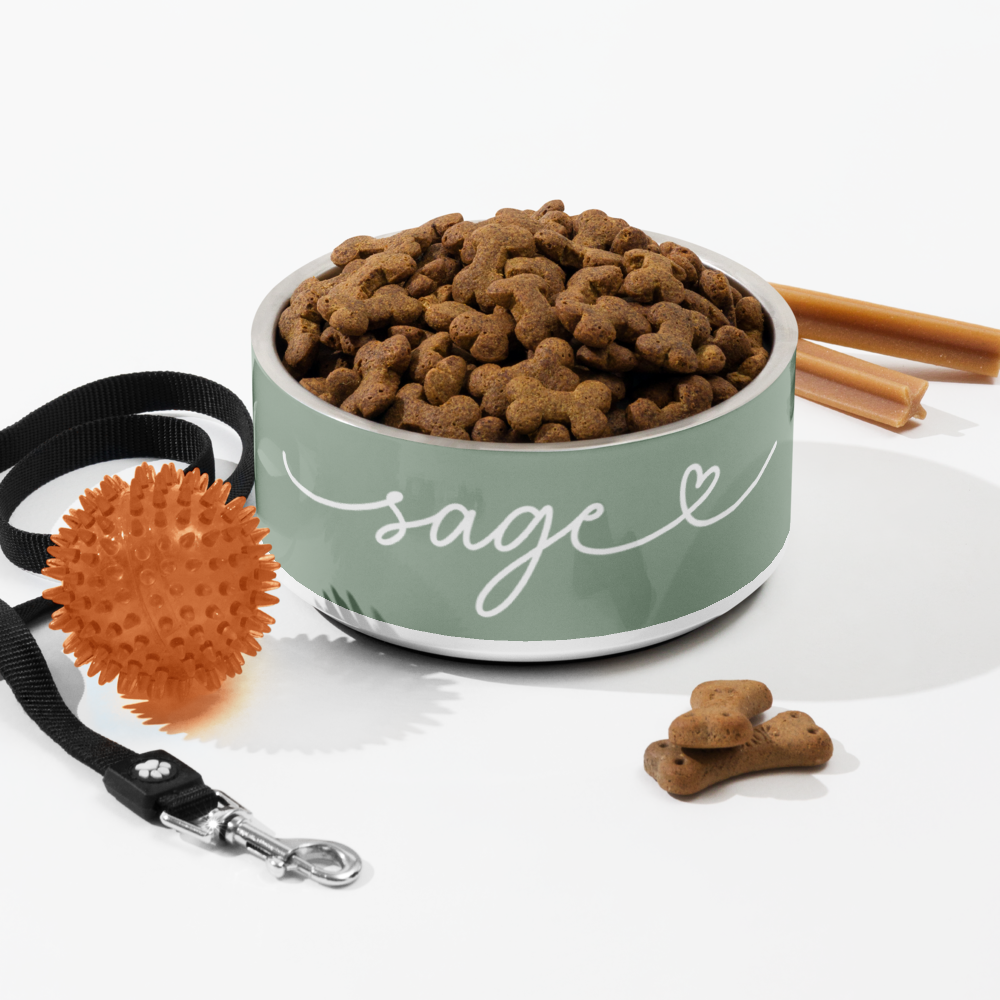 Personalized sage green dog bowl with kibble and dog toys - lifestyle