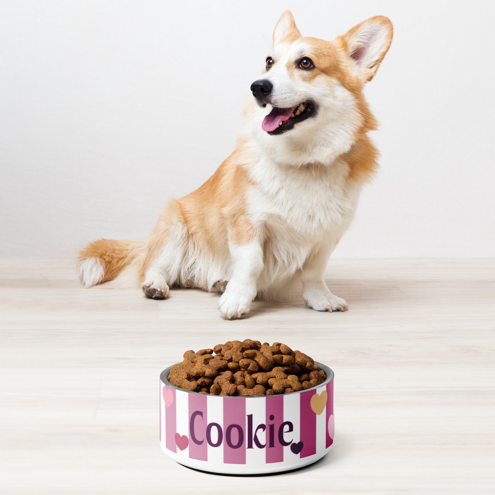 Custom striped hearts dog bowl – front view showing personalized name