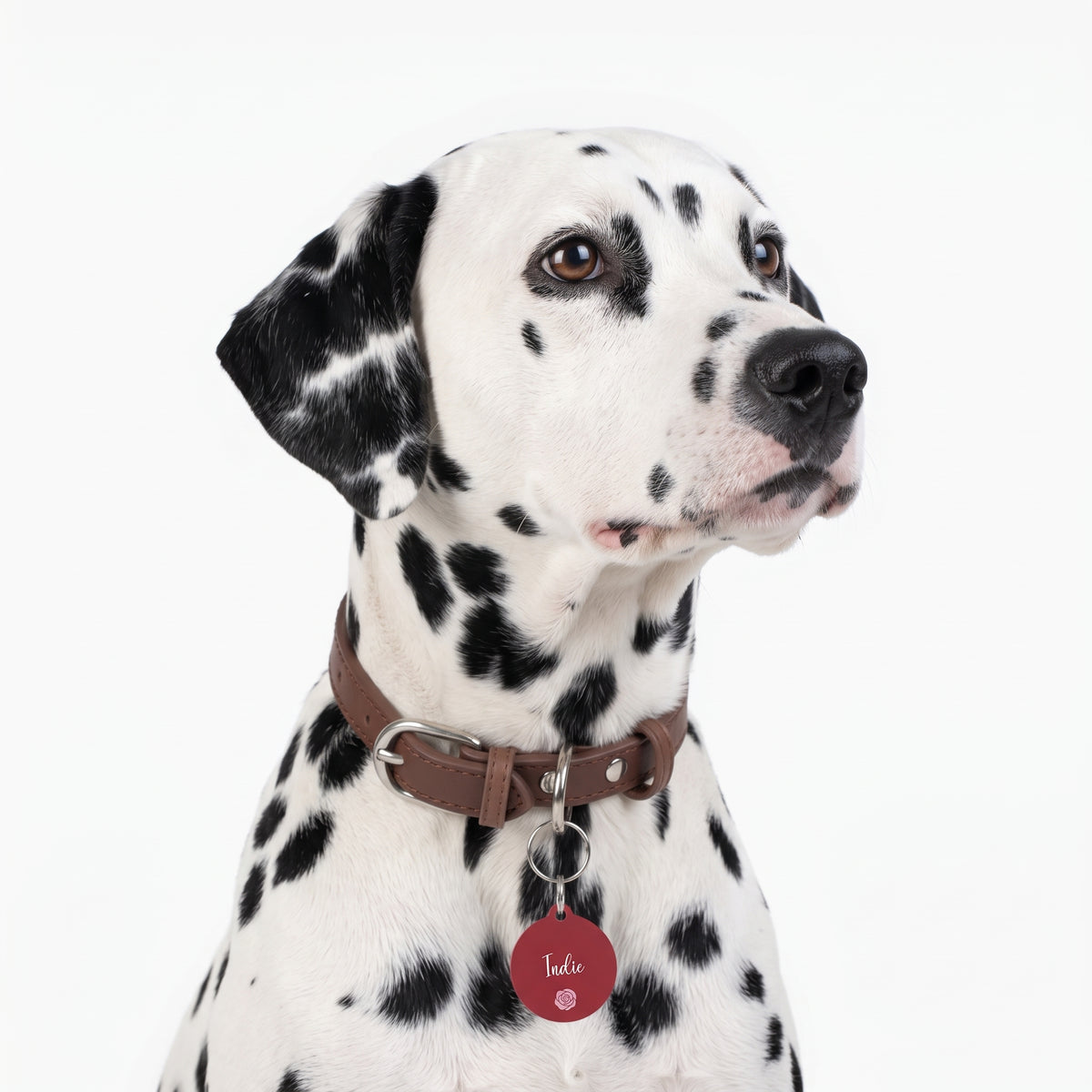 P003 red heart Name pet tag | Personalized Contact Info ID Tag