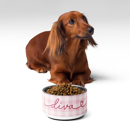 Dachshund next to a pink checkered personalized dog bowl filled with kibble