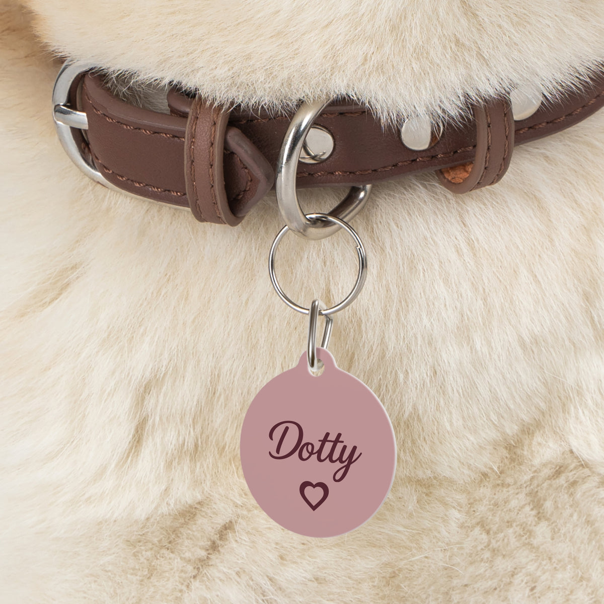 Close-up of the pink heart pet tag hanging from a brown collar on a fluffy dog