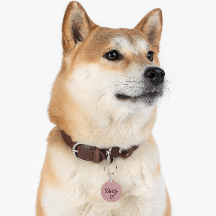 Shiba Inu wearing the pink heart personalized pet tag