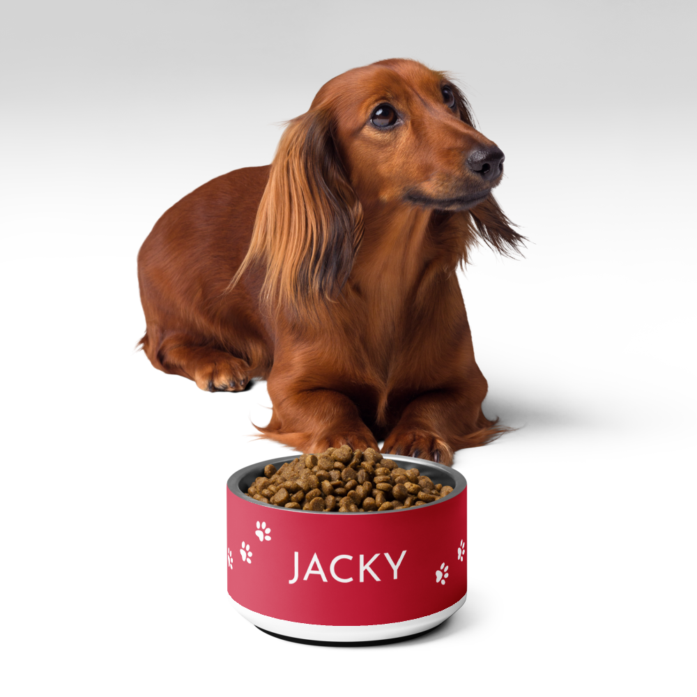 Dachshund next to a red paw print personalized dog bowl filled with kibble