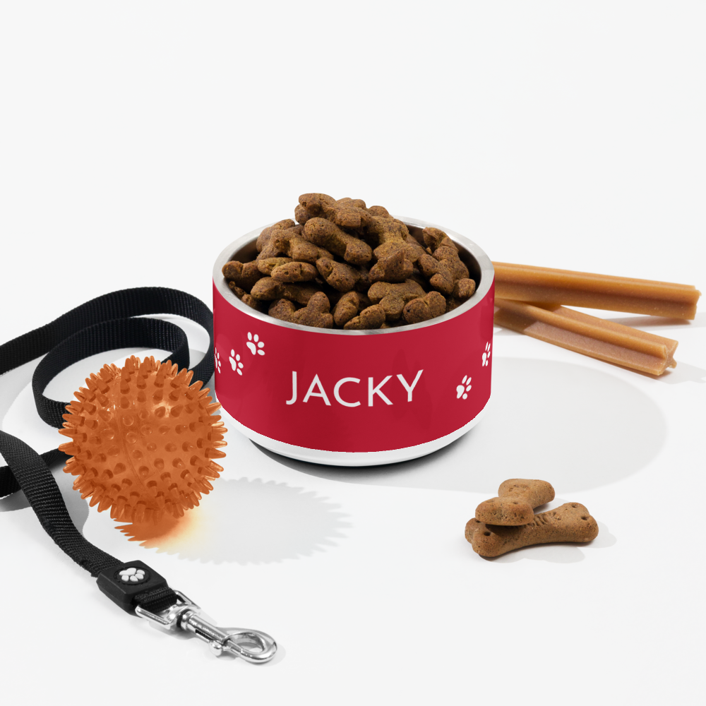 Red paw print personalized dog bowl with kibble styled with a leash, toy and cinnamon sticks