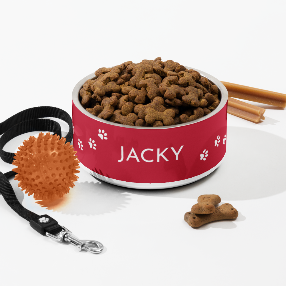 Flat lay of a red paw print personalized dog bowl with kibble, leash and cinnamon sticks