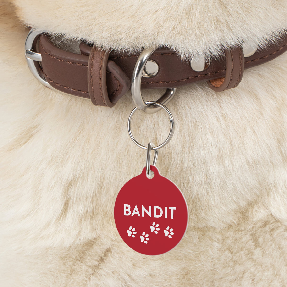Red paw print personalized dog tag with name Bandit on a brown leather collar around a fluffy cream-colored dog