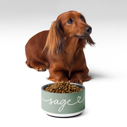 Dachshund next to a sage green personalized dog bowl filled with kibble