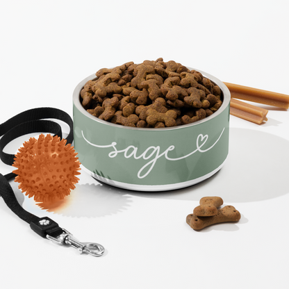 Sage green personalized dog bowl with kibble styled with a leash, toy and cinnamon sticks
