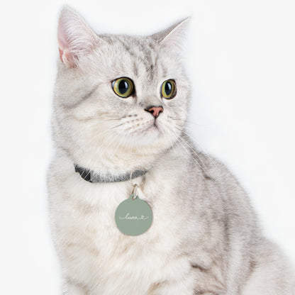 Silver tabby cat wearing a sage green personalized pet tag