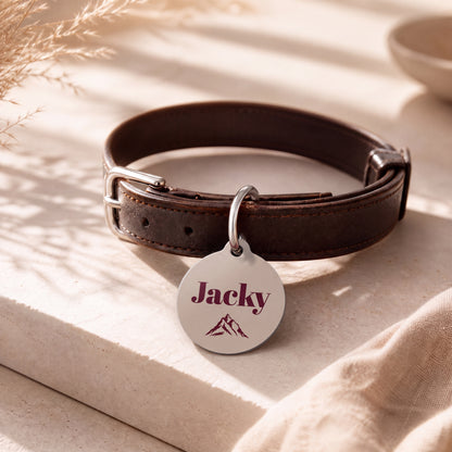 Sand mountain pet tag on a dark brown leather collar