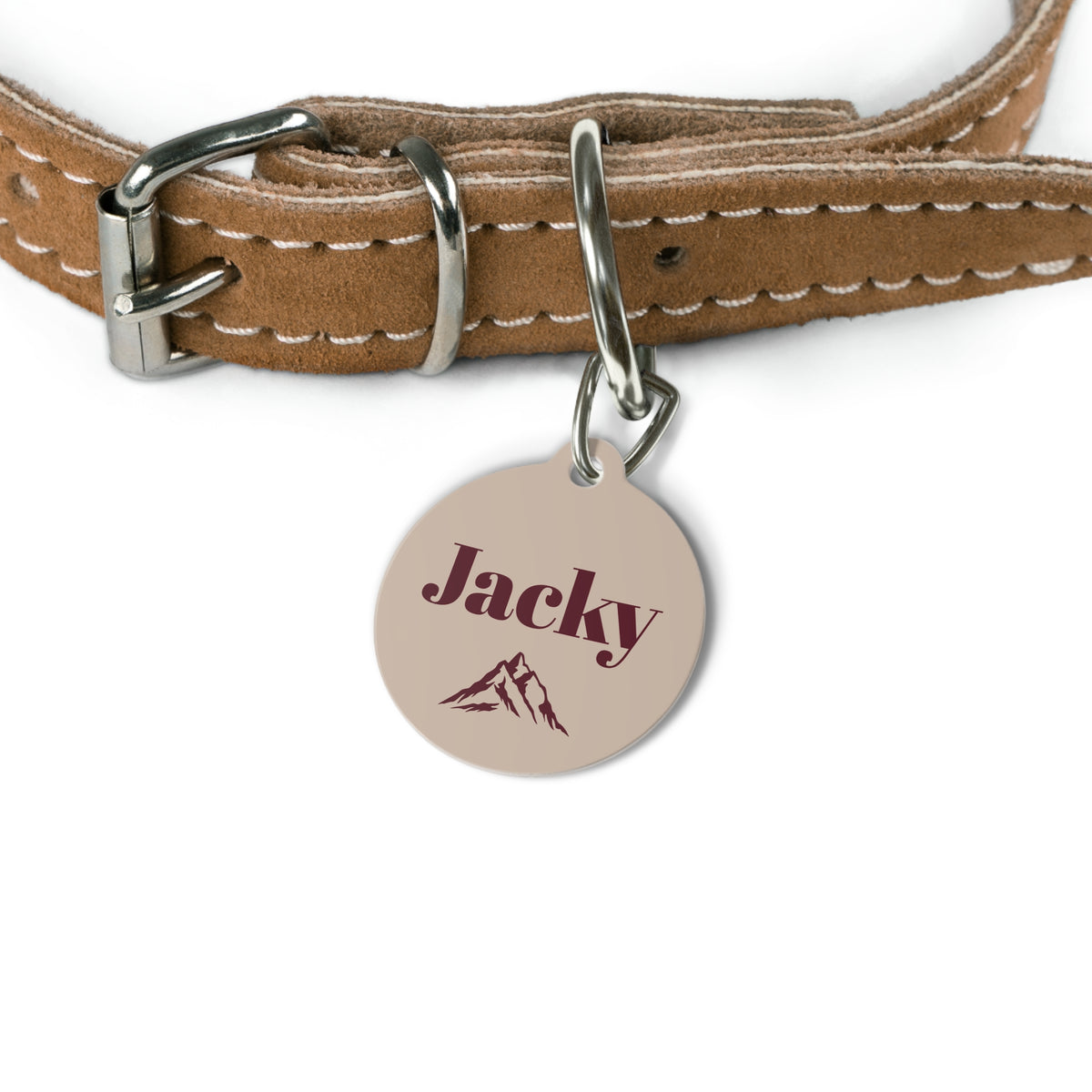 Sand mountain pet tag on a tan leather collar
