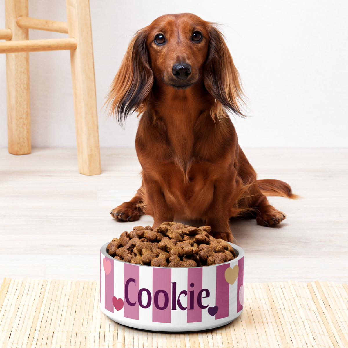 Long-haired dachshund sitting behind a pink striped hearts personalized dog bowl with kibble