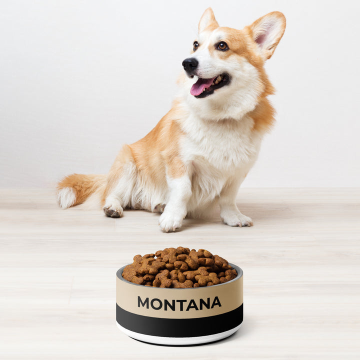 Corgi sitting next to a tan and black two-tone personalized stainless steel dog bowl filled with kibble