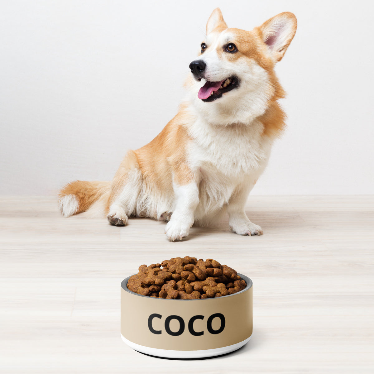 Corgi sitting next to a tan modern personalized stainless steel dog bowl filled with kibble